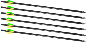 Traditions A2217 Firebolt 2216 Arrow  For Crackshot XBR 16 Aluminum 6 Pack"