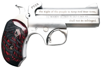 Bond Arms PT2A Protect the 2nd Amendment 38 Special357 Mag 4.25" 2 Round Stainless Steel Rosewood Grip