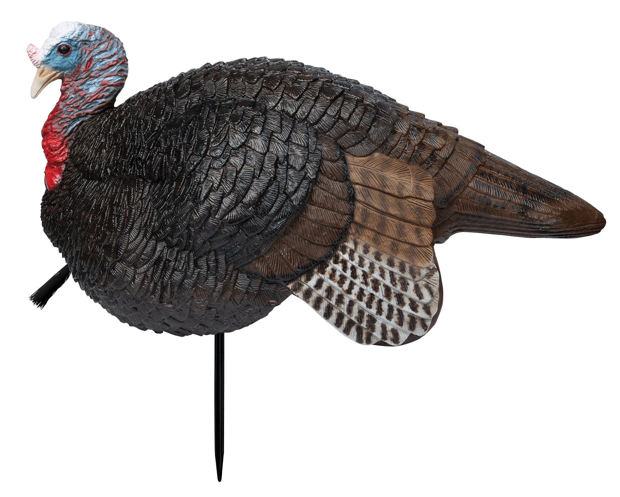 Primos 69074 Lil' Gobstopper Jake Turkey Species Multi Color