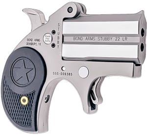 Bond Arms BASTB Stubby 22 LR 2rd Shot 2.20" Matte Stainless Steel Frame Black Textured Polymer Grips