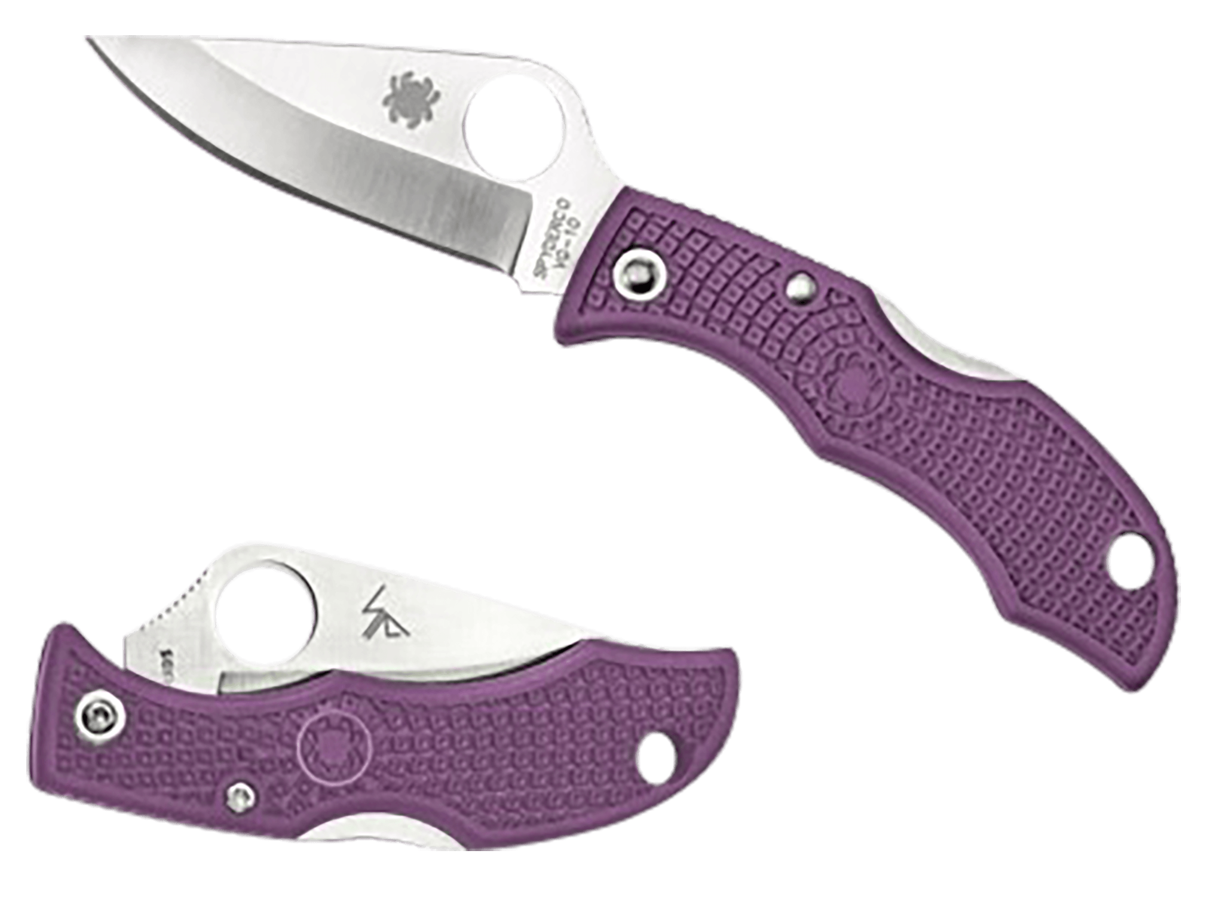 Spyderco LPRP3 Ladybug 3 Salt 1.94" Folding Plain Stonewashed H2 Steel Blade/Purple Bi-Directional Texturing FRN Handle