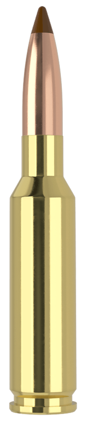 Nosler 61053 6.5x55 Swedish 140 gr Ballistic Tip 20rd Box