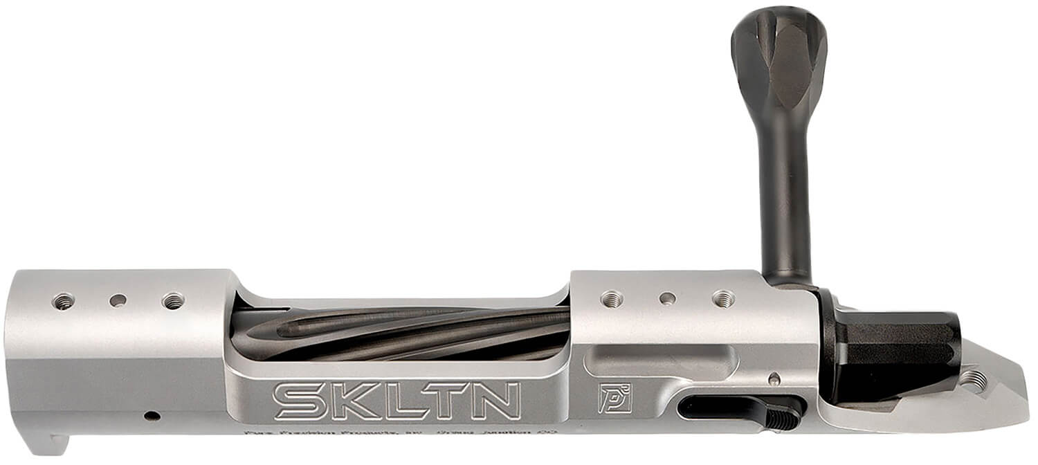 P2 IN-00281 SKLTN SA LH STANDARD SS - Image 3