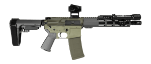 Shark Coast Tactical SCC06872BUGBR300P Bug Bear Bundle 300 Blackout 30+1 10" Threaded Barrel Aluminum Receiver w/Picatinny Rail M-LOK Handguard Polymer SB Tactical SBA3 Brace Streamlight ProTac Rail Light 2 Vortex Crossfire Red Dot Magpul MOE Grip
