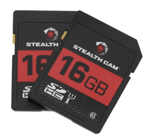 STEAL STC-16GB2PK 16GB SD CARD 2PACK
